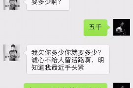 双清如何避免债务纠纷？专业追讨公司教您应对之策